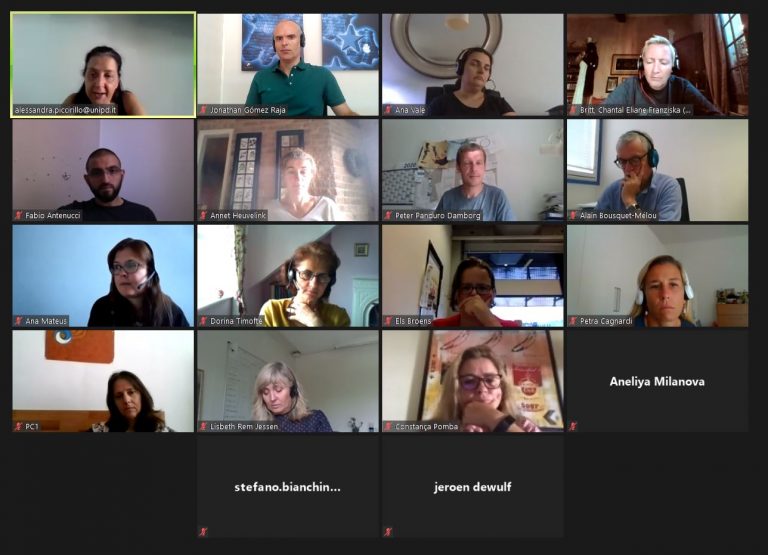 Enovat Core Group Meeting Was Held On Line On August 26th 2020 Enovat